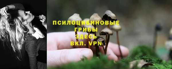 каннабис Ладушкин