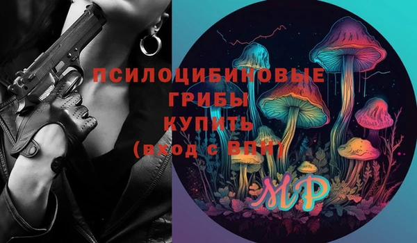 соль ск Липки
