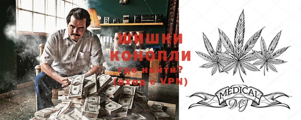 соль ск Липки