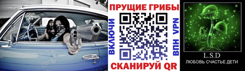 Галлюциногенные грибы Cubensis Удачный